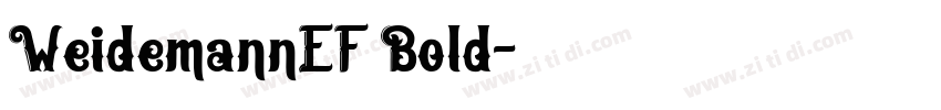 WeidemannEF Bold字体转换